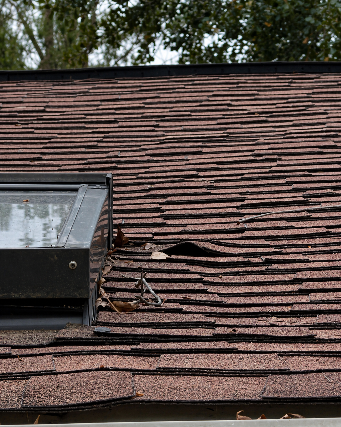 Lifted and deteriorated asphalt roofing shingles